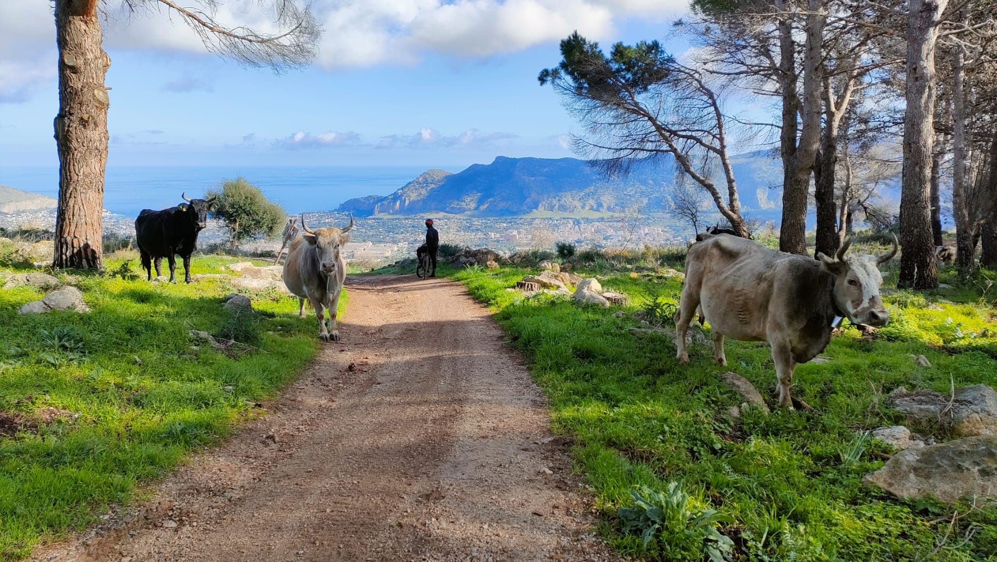 The pleasure of discovering Sicily by bike